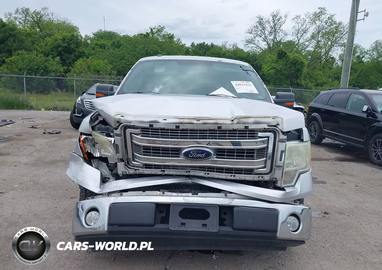 2014 Ford F-150 Xlt VIN:1FTFW1CF5EFA66904 - 6