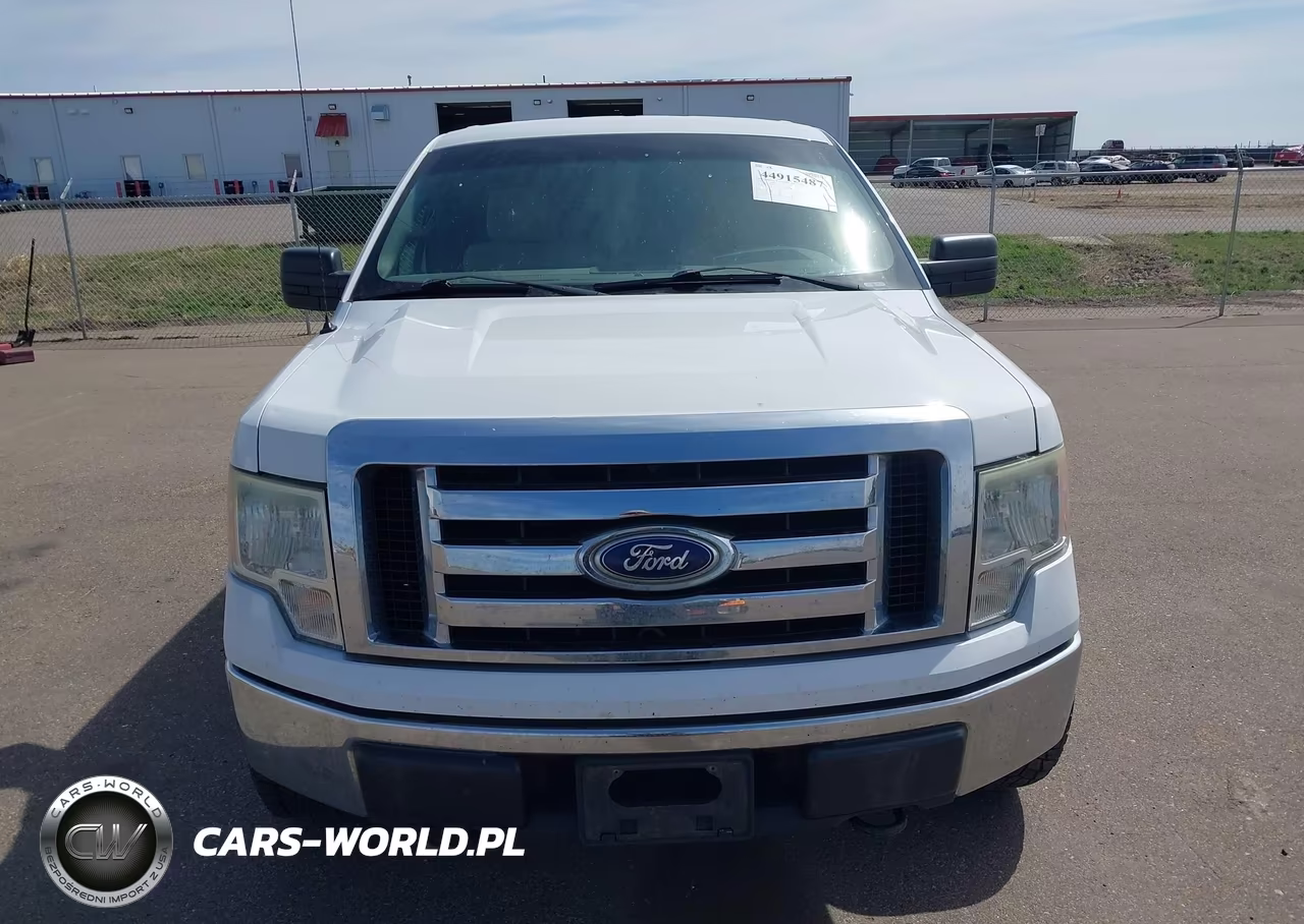 2010 Ford F-150 Fx4-Harley-Davidson-King Ranch-Lariat-Platinum-Xl-Xlt VIN:1FTFW1EV9AFC11683 - 12