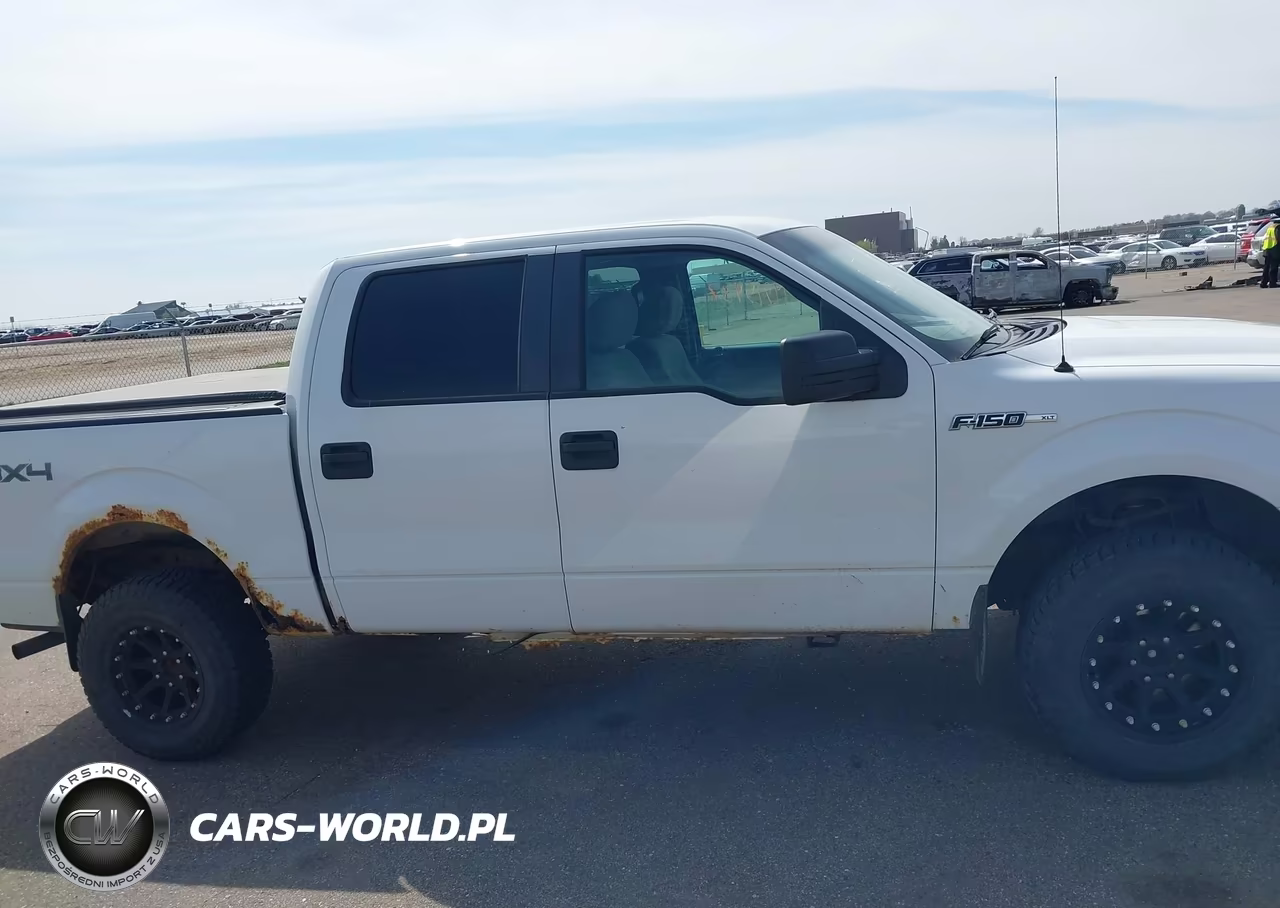 2010 Ford F-150 Fx4-Harley-Davidson-King Ranch-Lariat-Platinum-Xl-Xlt VIN:1FTFW1EV9AFC11683 - 13