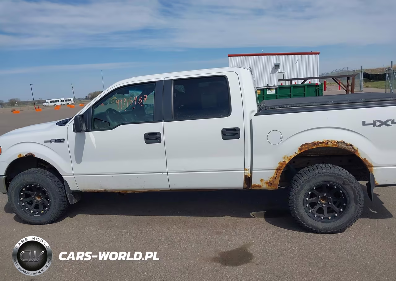 2010 Ford F-150 Fx4-Harley-Davidson-King Ranch-Lariat-Platinum-Xl-Xlt VIN:1FTFW1EV9AFC11683 - 14