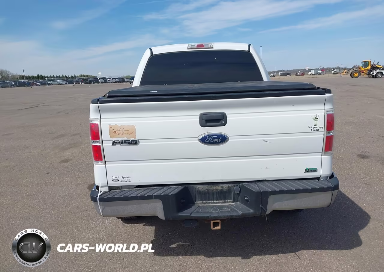 2010 Ford F-150 Fx4-Harley-Davidson-King Ranch-Lariat-Platinum-Xl-Xlt VIN:1FTFW1EV9AFC11683 - 16