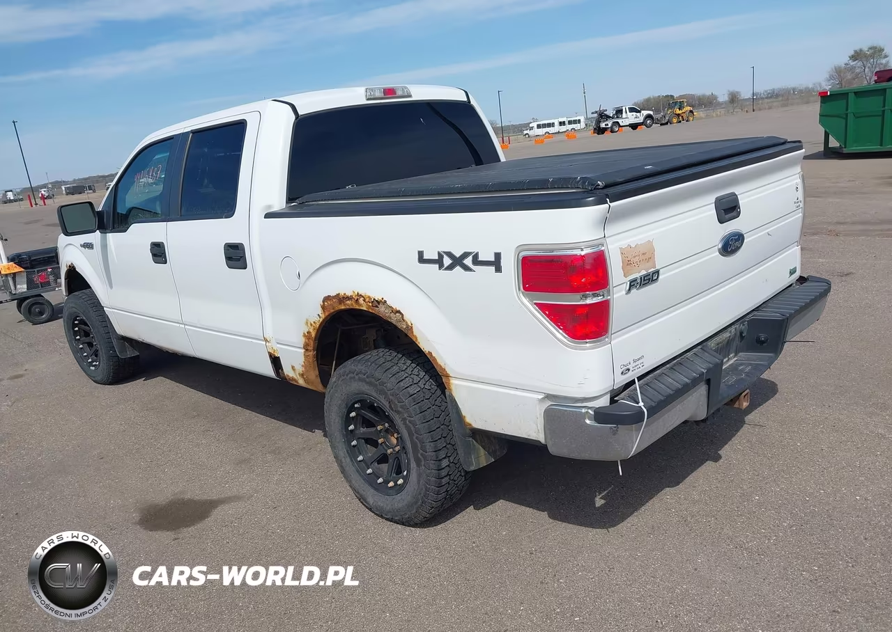 2010 Ford F-150 Fx4-Harley-Davidson-King Ranch-Lariat-Platinum-Xl-Xlt VIN:1FTFW1EV9AFC11683 - 3