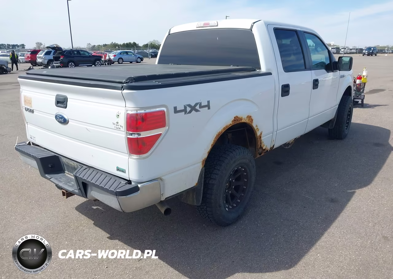2010 Ford F-150 Fx4-Harley-Davidson-King Ranch-Lariat-Platinum-Xl-Xlt VIN:1FTFW1EV9AFC11683 - 4