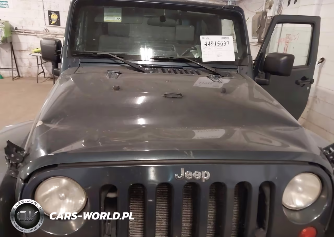 2007 Jeep Wrangler Sahara VIN:1J4FA54187L209058 - 10
