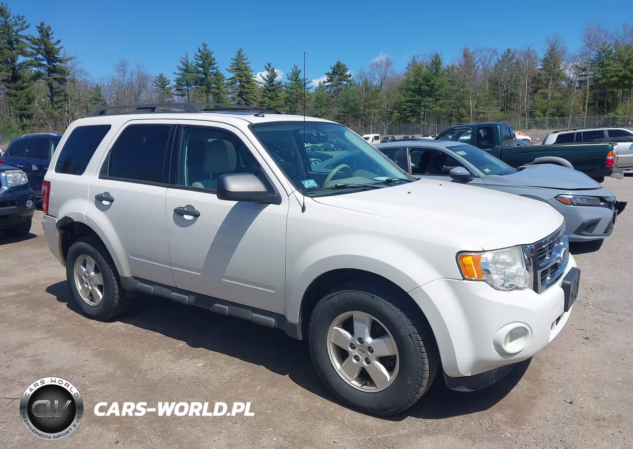 2010 Ford Escape Xlt