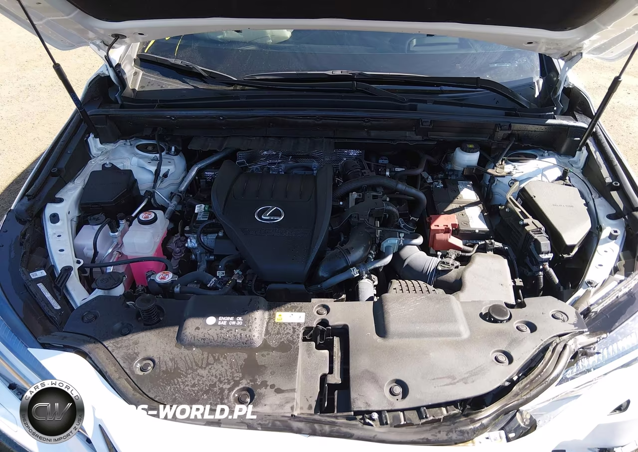 2024 Lexus Nx 350 F Sport Handling VIN:2T2KGCEZ0RC052112 - 10