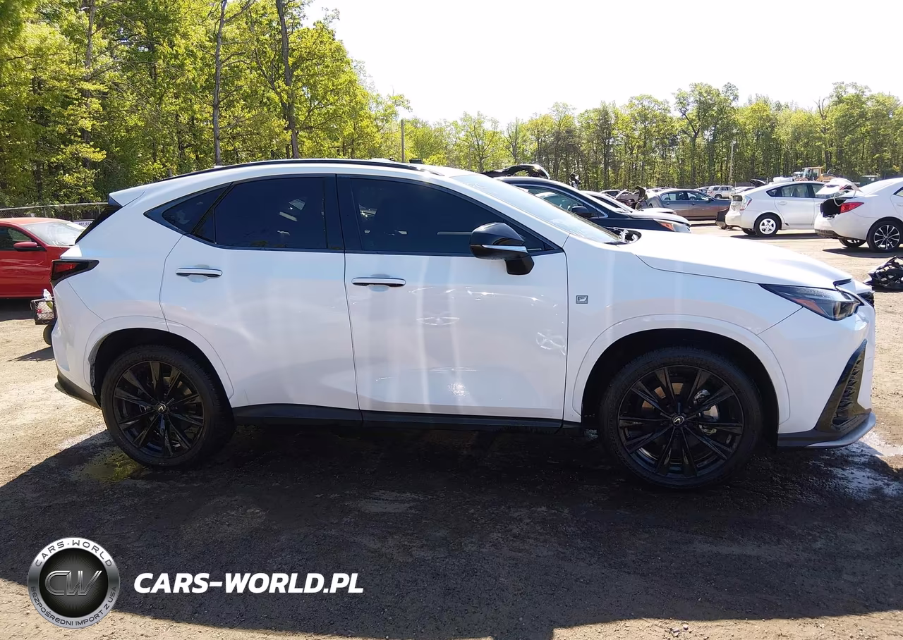 2024 Lexus Nx 350 F Sport Handling VIN:2T2KGCEZ0RC052112 - 13