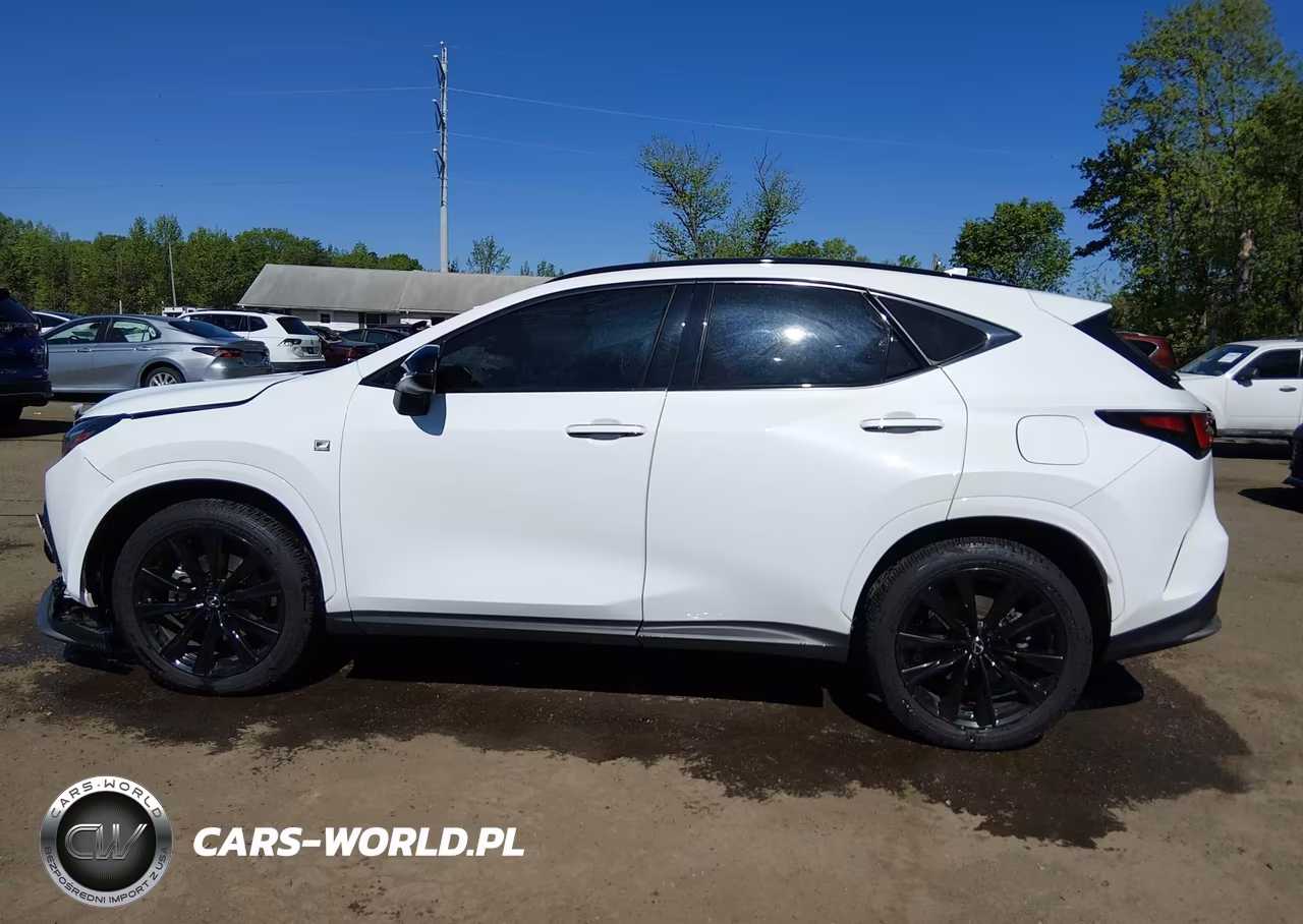 2024 Lexus Nx 350 F Sport Handling VIN:2T2KGCEZ0RC052112 - 14