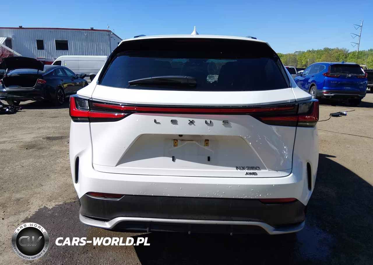 2024 Lexus Nx 350 F Sport Handling VIN:2T2KGCEZ0RC052112 - 16