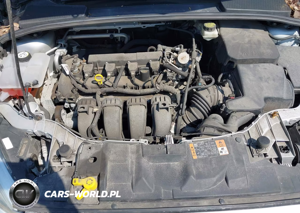 2016 Ford Focus Se VIN:1FADP3F21GL397658 - 10