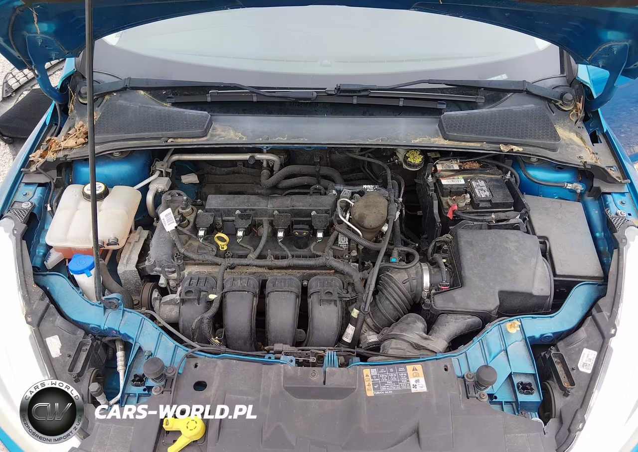 2015 Ford Focus Se VIN:1FADP3K22FL331155 - 10