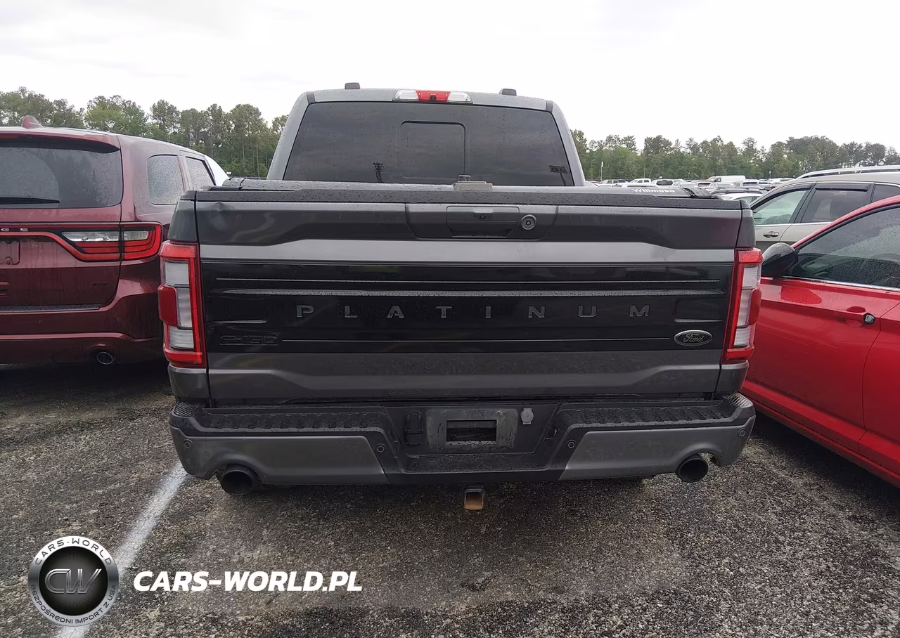 2023 Ford F-150 Platinum VIN:1FTFW1ED9PFA72641 - 17