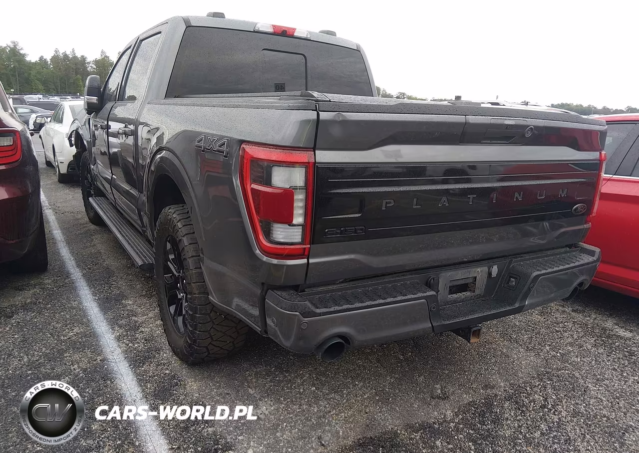 2023 Ford F-150 Platinum VIN:1FTFW1ED9PFA72641 - 3