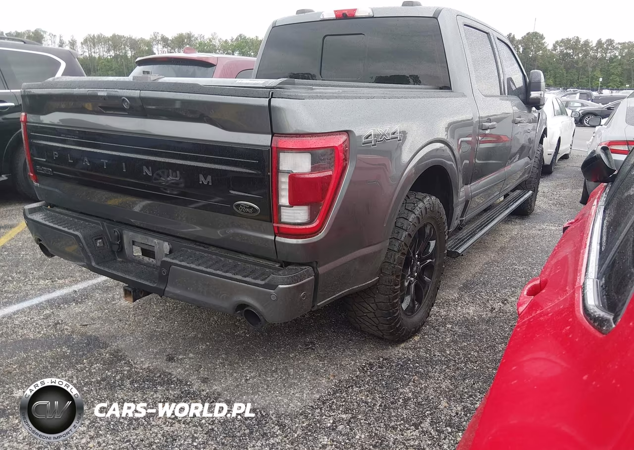 2023 Ford F-150 Platinum VIN:1FTFW1ED9PFA72641 - 4