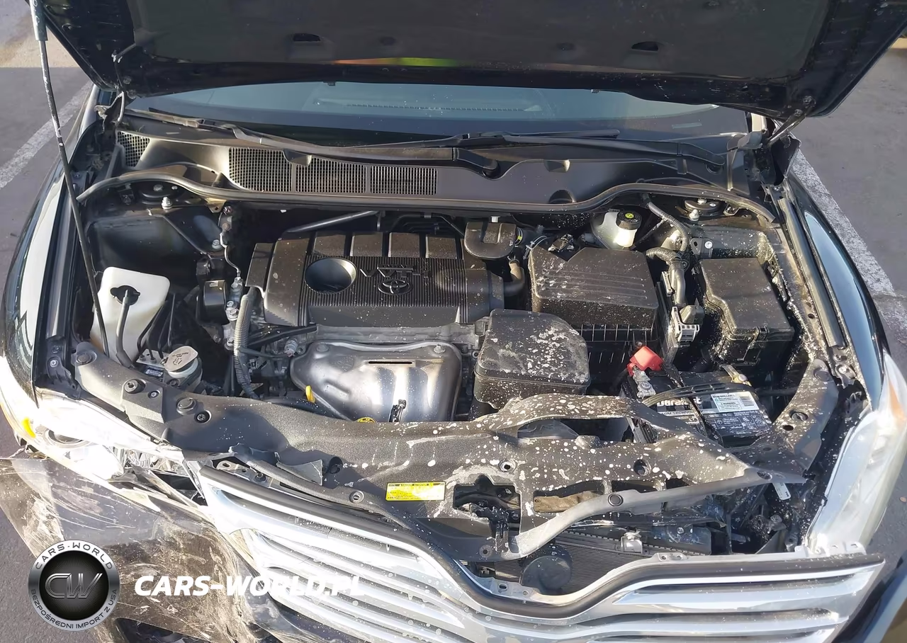 2011 Toyota Venza VIN:4T3BA3BB8BU021568 - 10