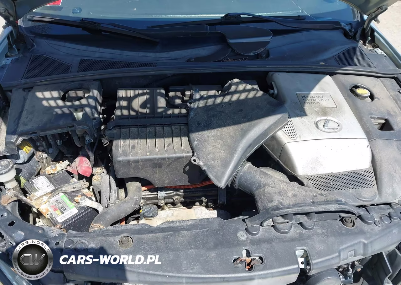 2006 Lexus Rx 400H VIN:JTJHW31UX60019990 - 10