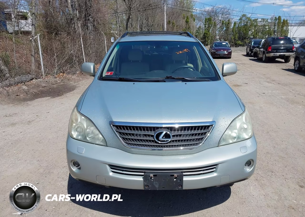 2006 Lexus Rx 400H VIN:JTJHW31UX60019990 - 6