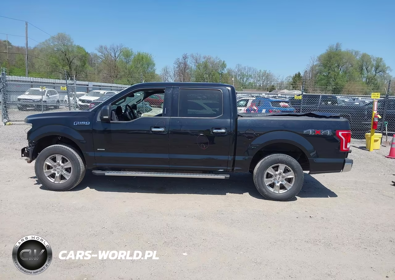 2017 Ford F-150 Xlt VIN:1FTEW1EP6HKD06300 - 14
