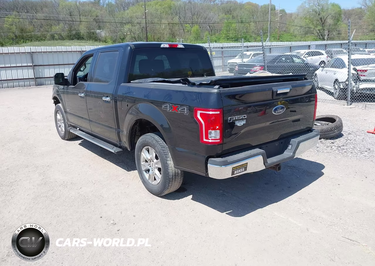 2017 Ford F-150 Xlt VIN:1FTEW1EP6HKD06300 - 3