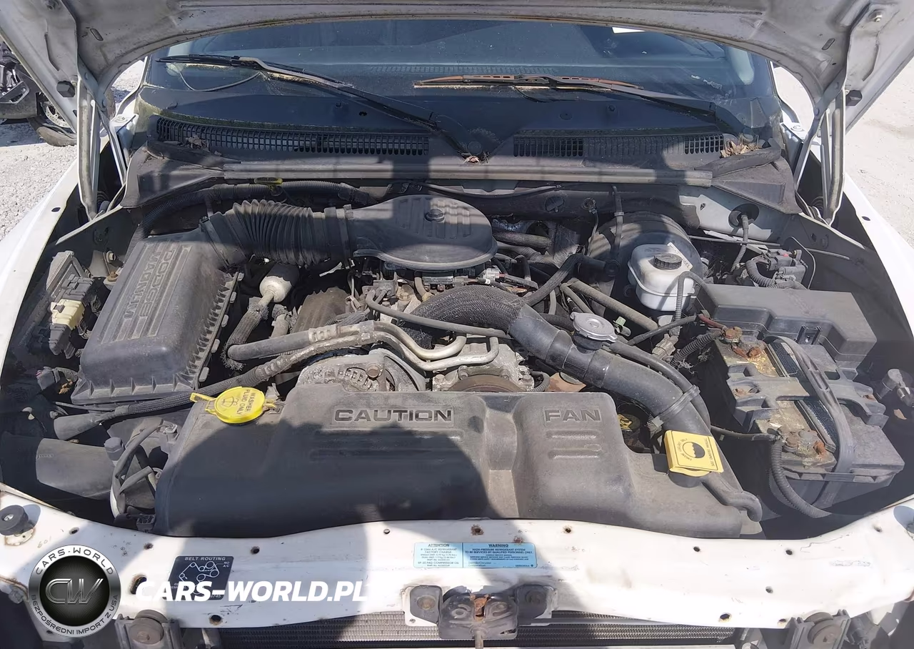 2001 Dodge Durango Slt VIN:1B4HS28Z81F645700 - 10