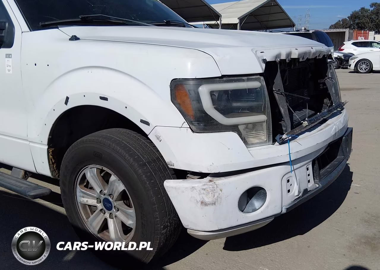 2014 Ford F-150 Fx2 VIN:1FTFW1CT9EFA75448 - 19
