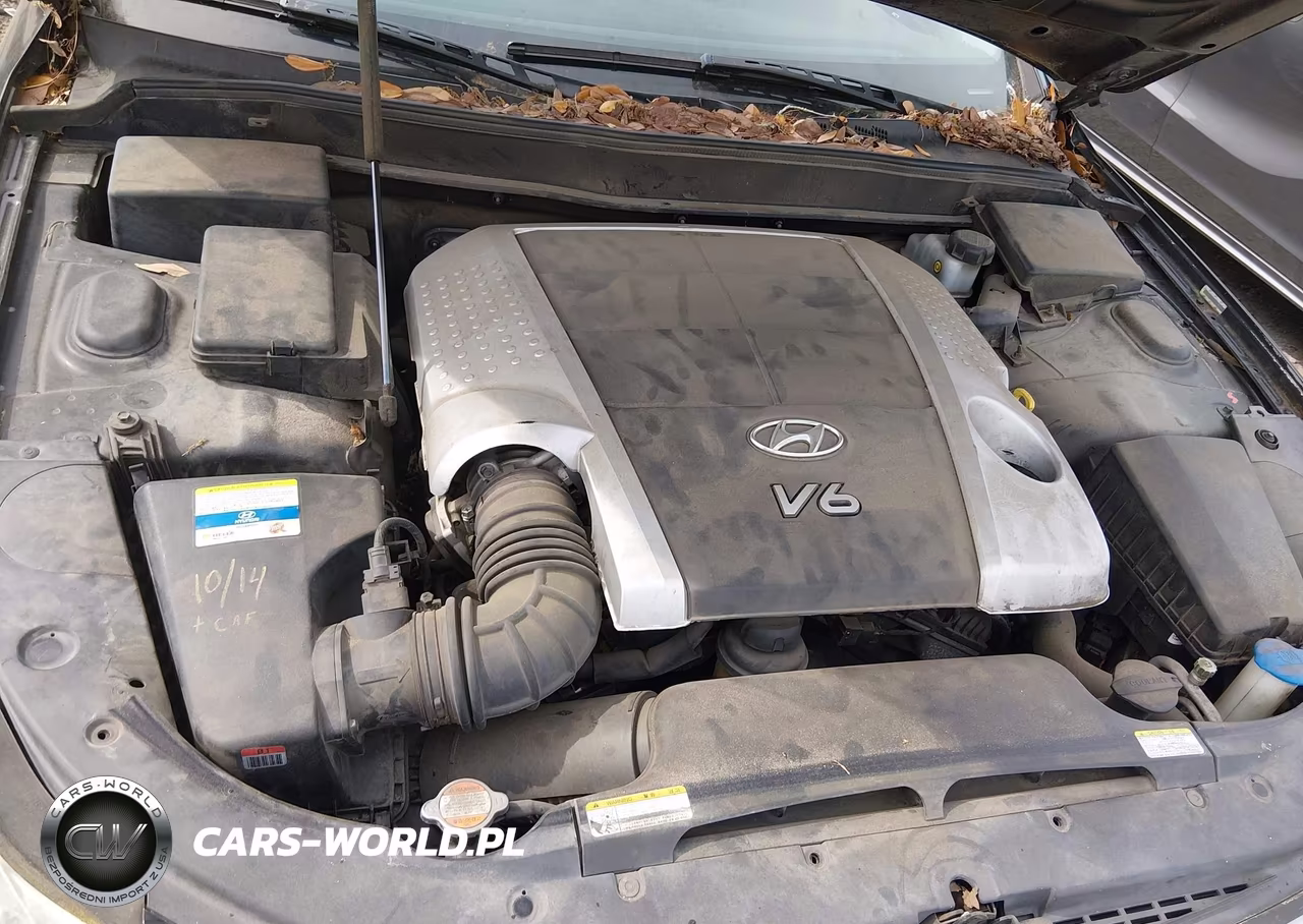 2011 Hyundai Genesis 3.8 VIN:KMHGC4DEXBU139112 - 10