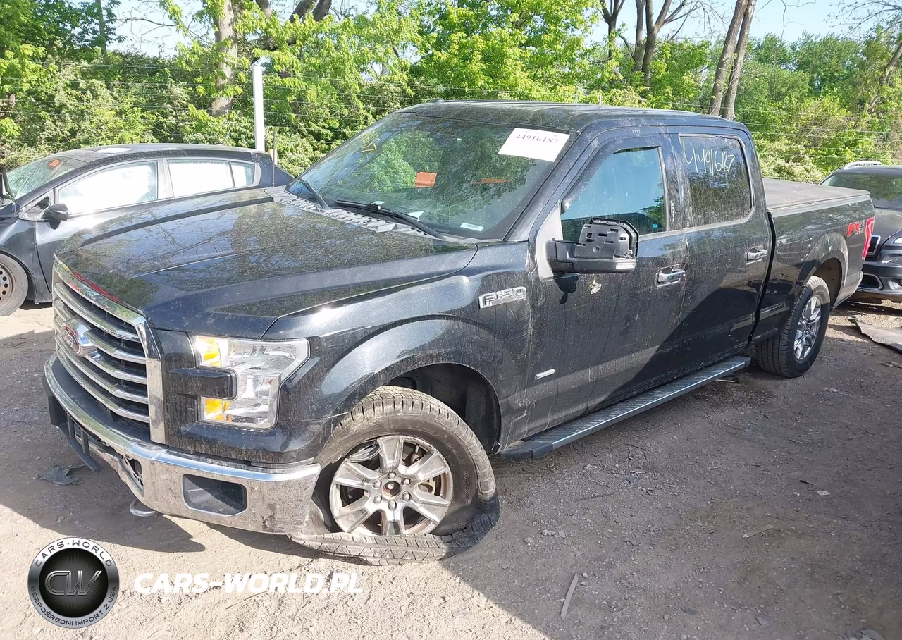 2015 Ford F-150 Xlt VIN:1FTFW1EG7FFC29186 - 2