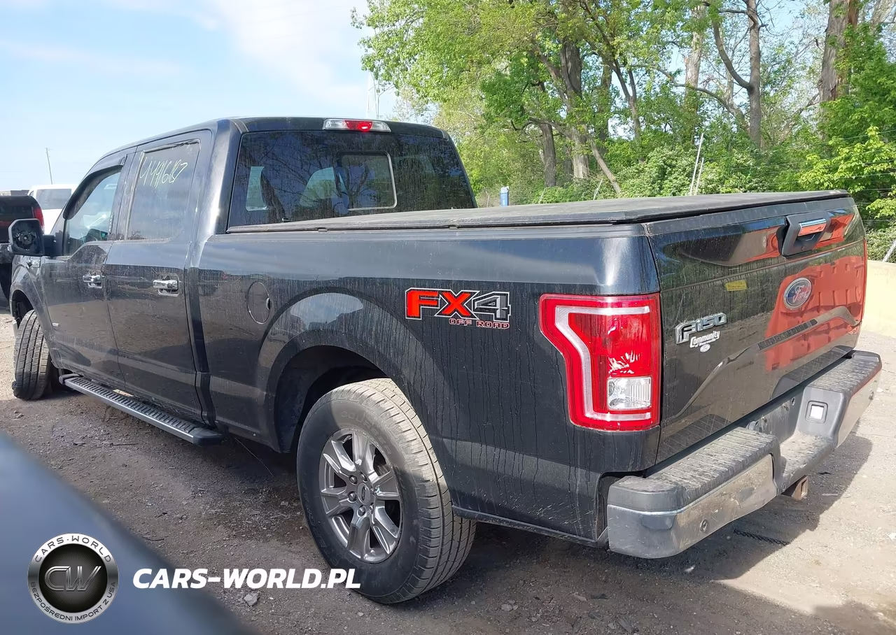 2015 Ford F-150 Xlt VIN:1FTFW1EG7FFC29186 - 3
