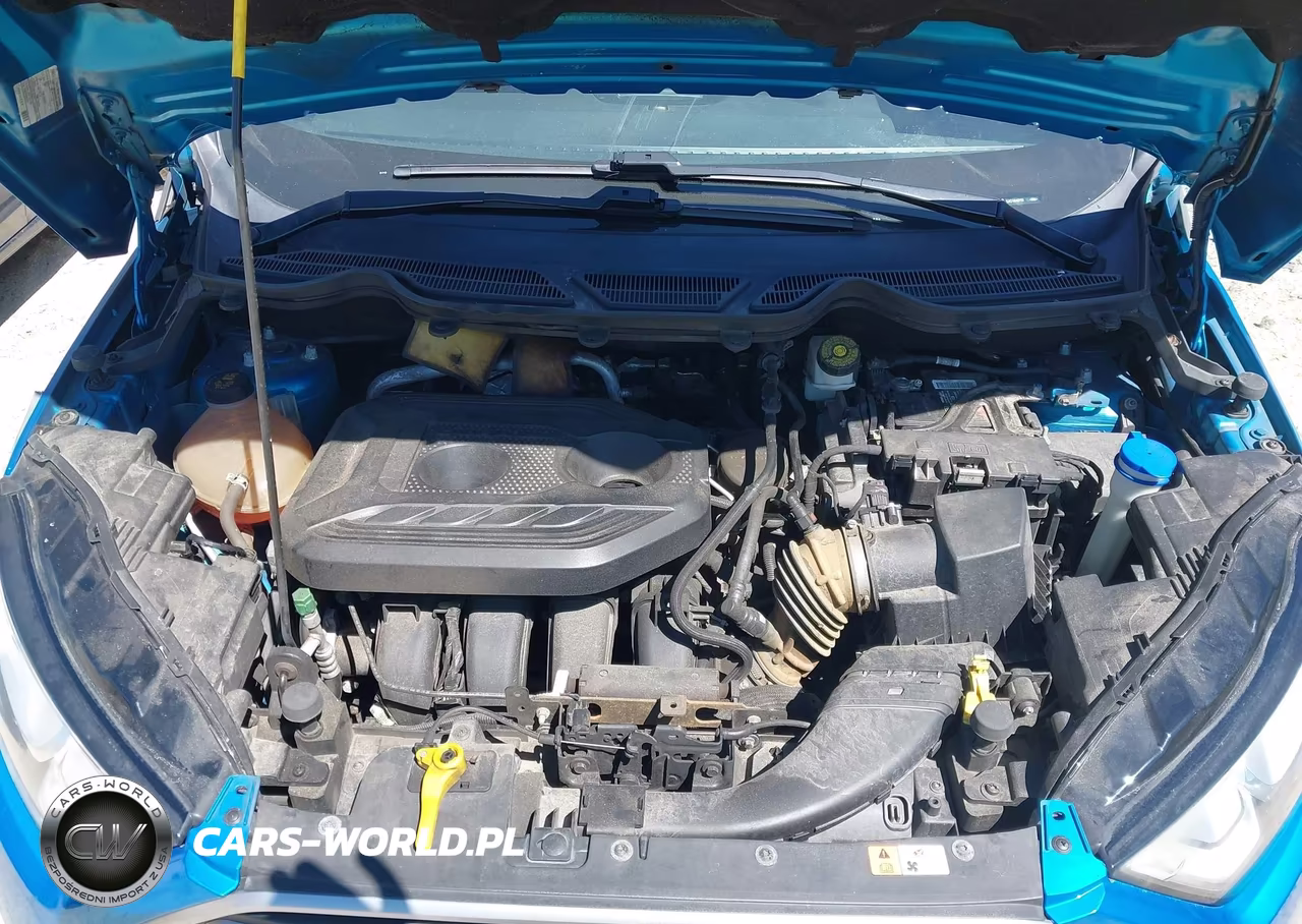 2018 Ford Ecosport Se VIN:MAJ6P1UL8JC164215 - 10