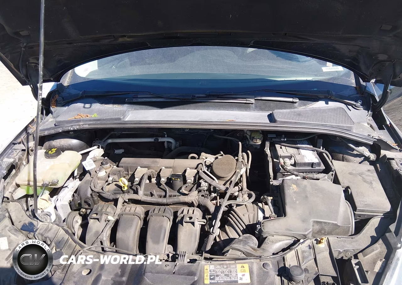 2016 Ford Focus Se VIN:1FADP3F22GL201923 - 10