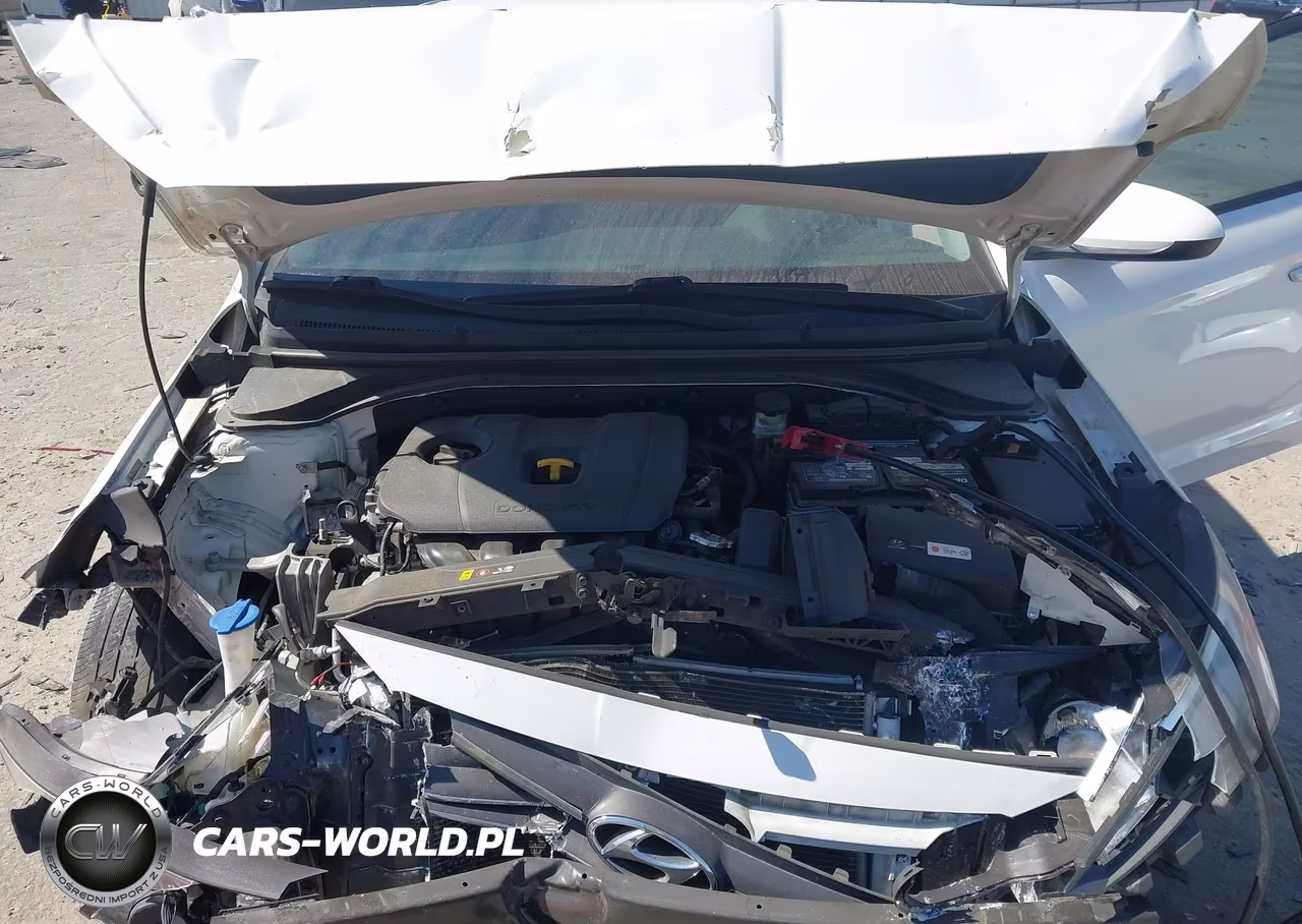 2019 Hyundai Elantra Sel VIN:5NPD84LF7KH492999 - 10