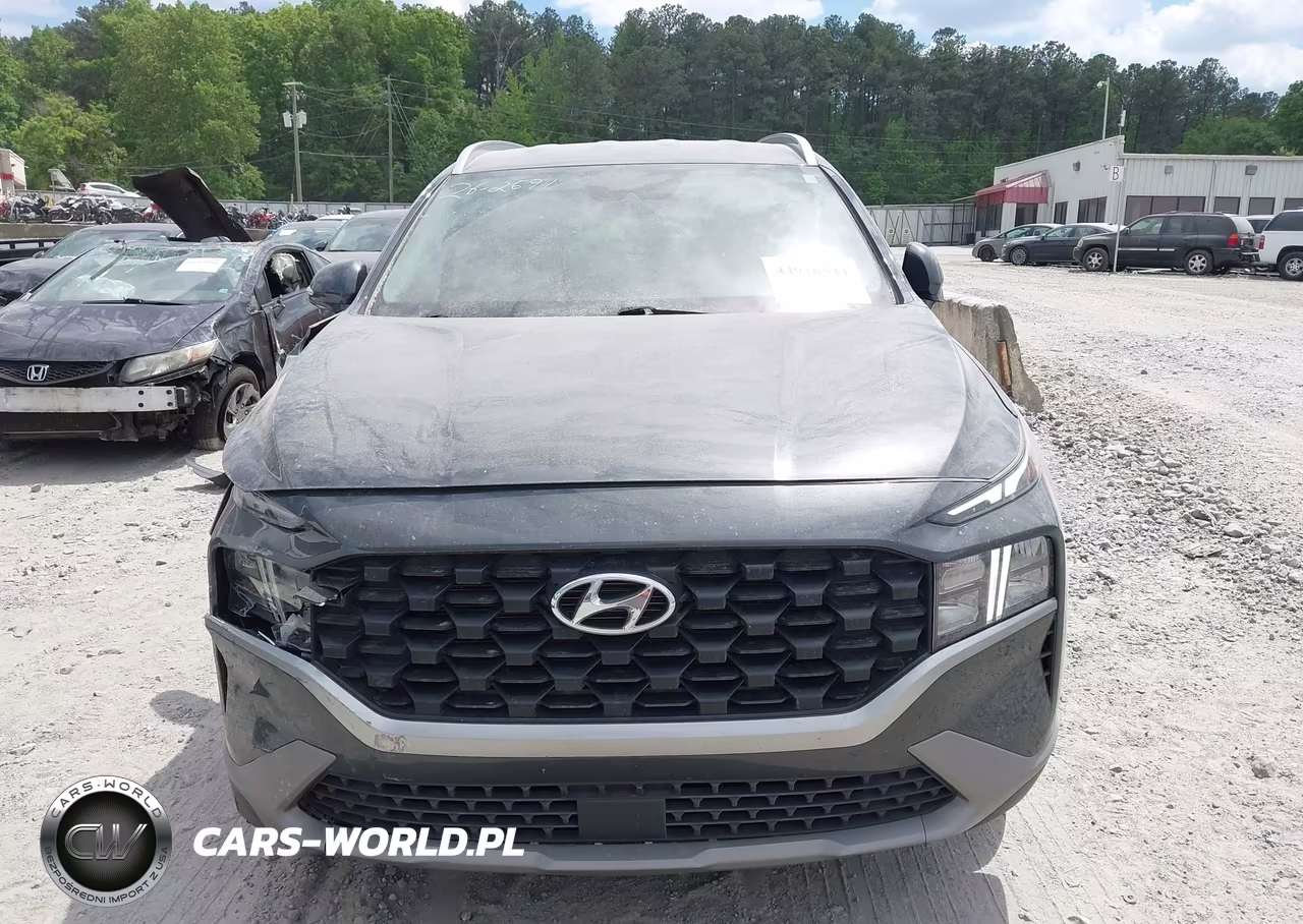 2023 Hyundai Santa Fe Sel VIN:5NMS2DAJ2PH517439 - 12