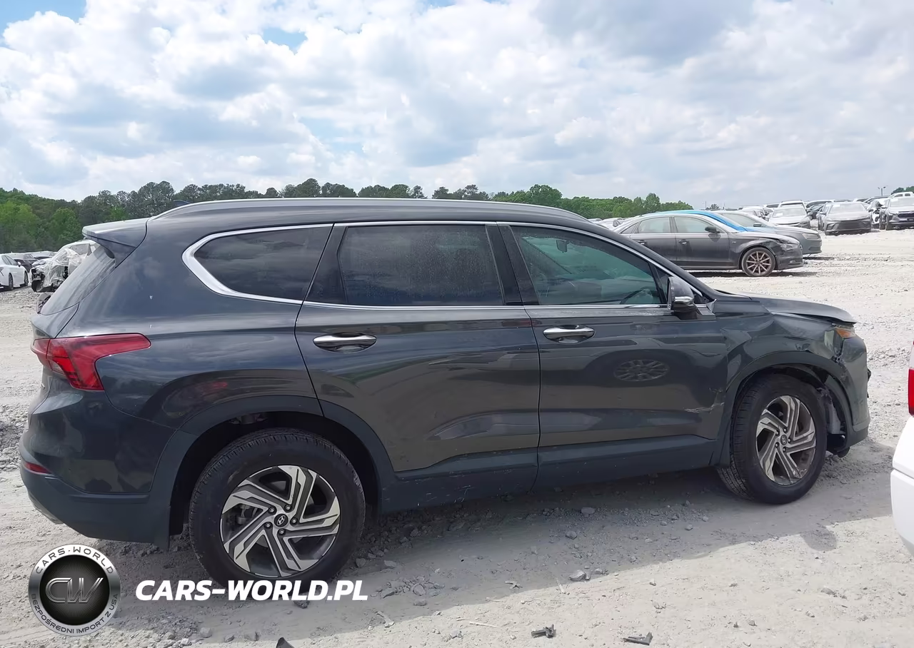 2023 Hyundai Santa Fe Sel VIN:5NMS2DAJ2PH517439 - 13