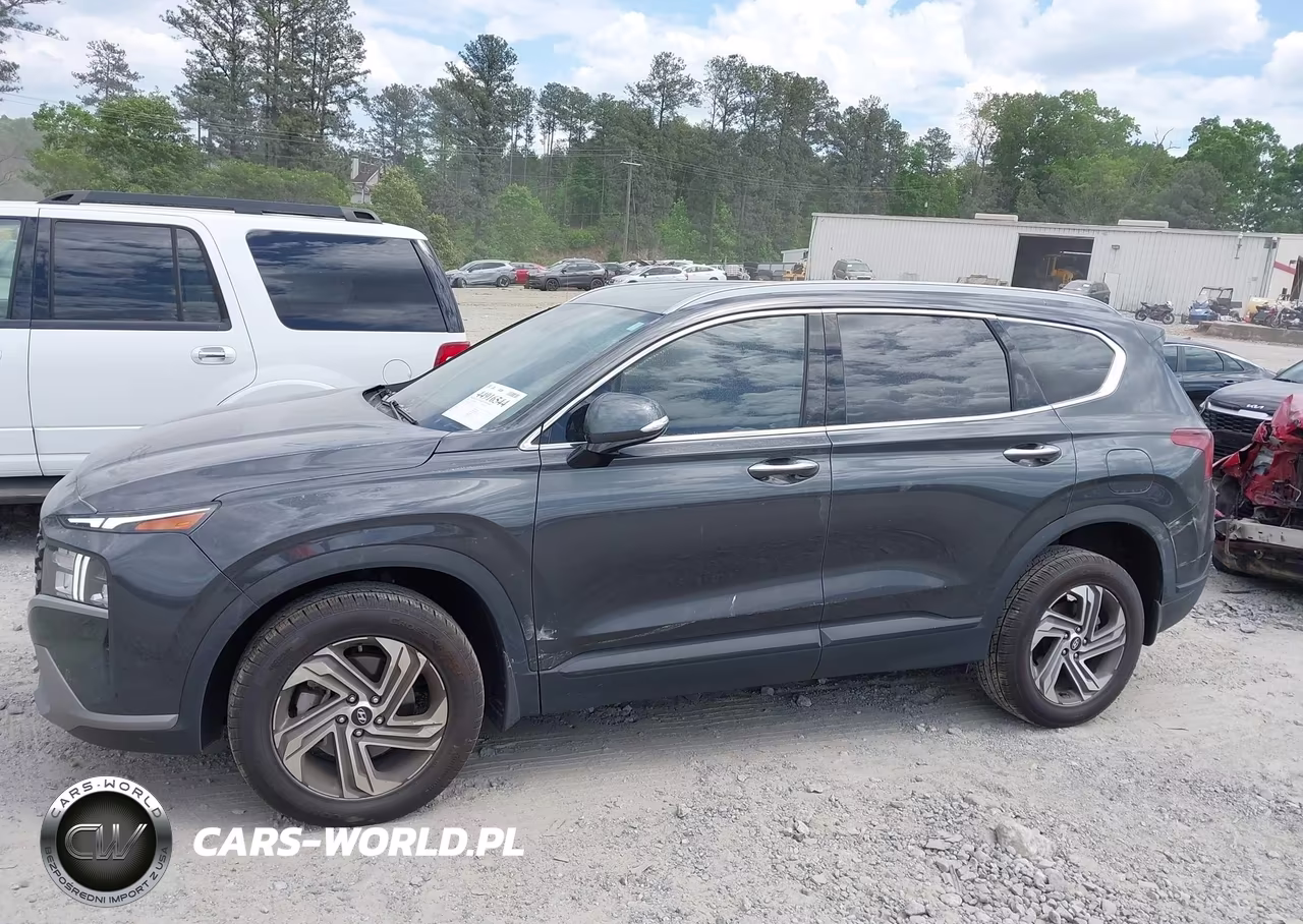 2023 Hyundai Santa Fe Sel VIN:5NMS2DAJ2PH517439 - 14