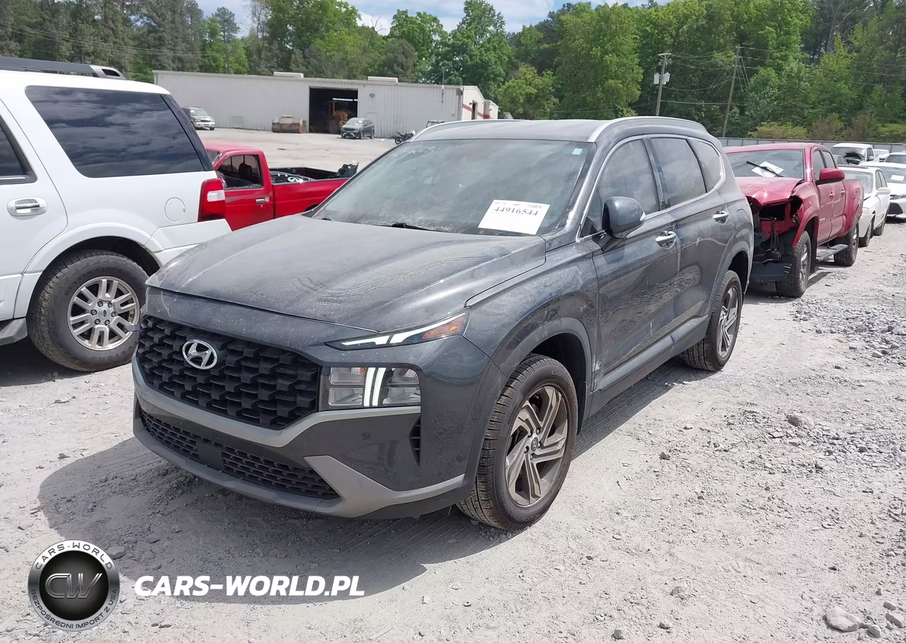 2023 Hyundai Santa Fe Sel VIN:5NMS2DAJ2PH517439 - 2