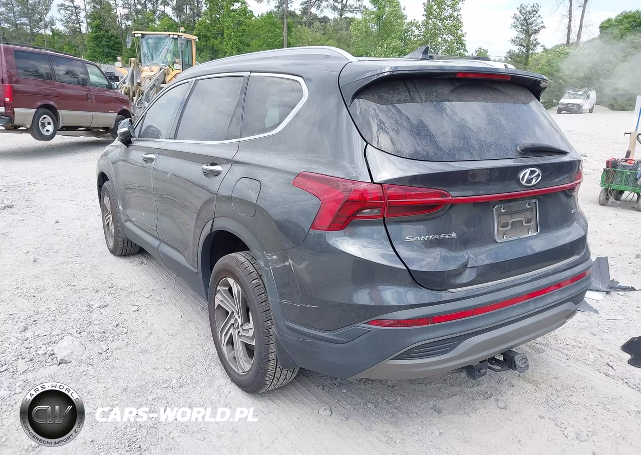 2023 Hyundai Santa Fe Sel VIN:5NMS2DAJ2PH517439 - 3