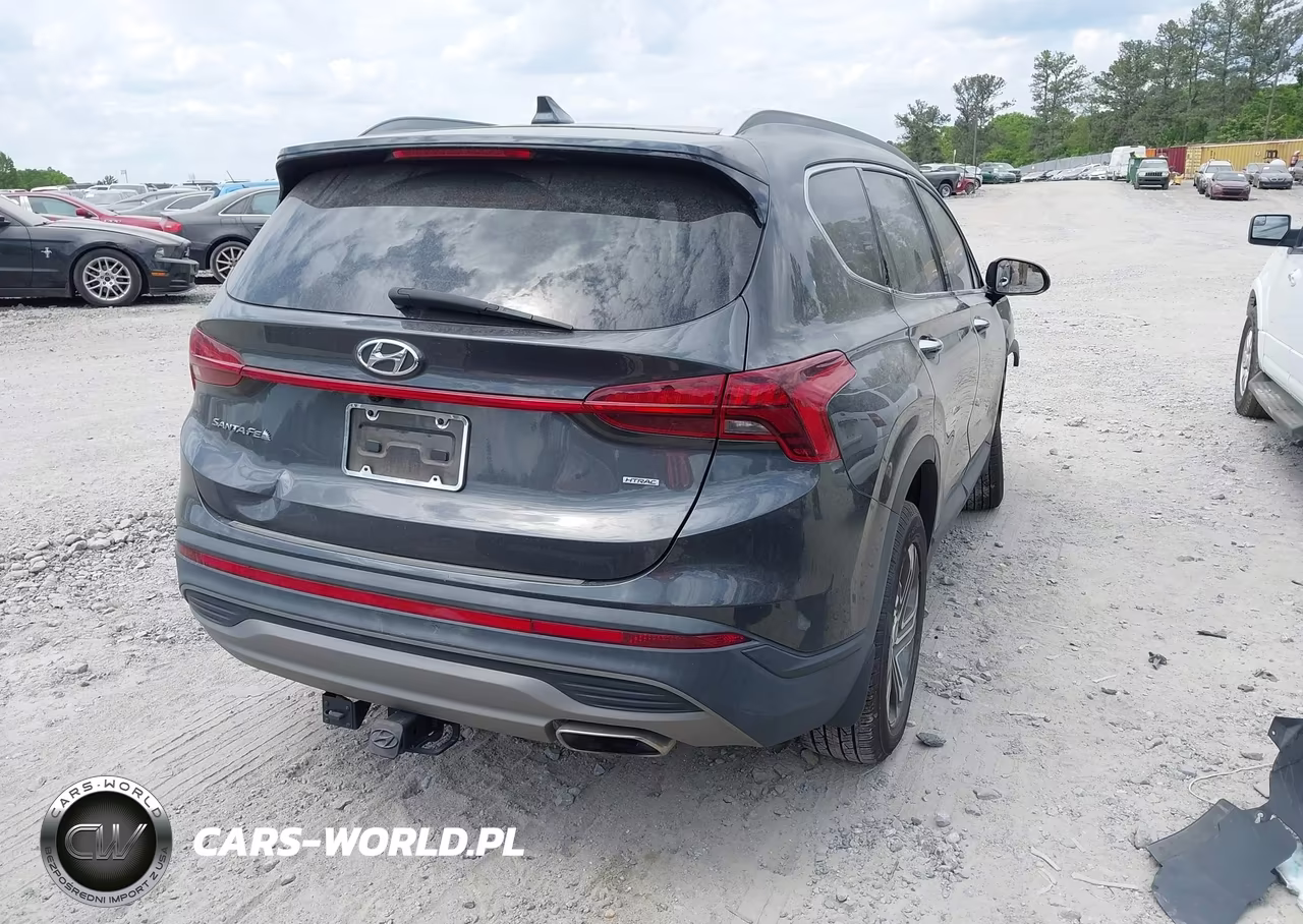 2023 Hyundai Santa Fe Sel VIN:5NMS2DAJ2PH517439 - 4