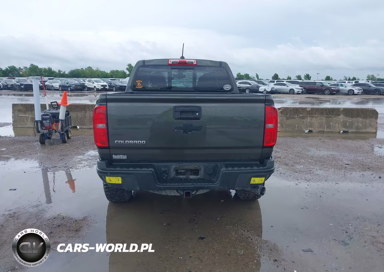 2018 Chevrolet Colorado Zr2 VIN:1GCPTEE10J1106173 - 16