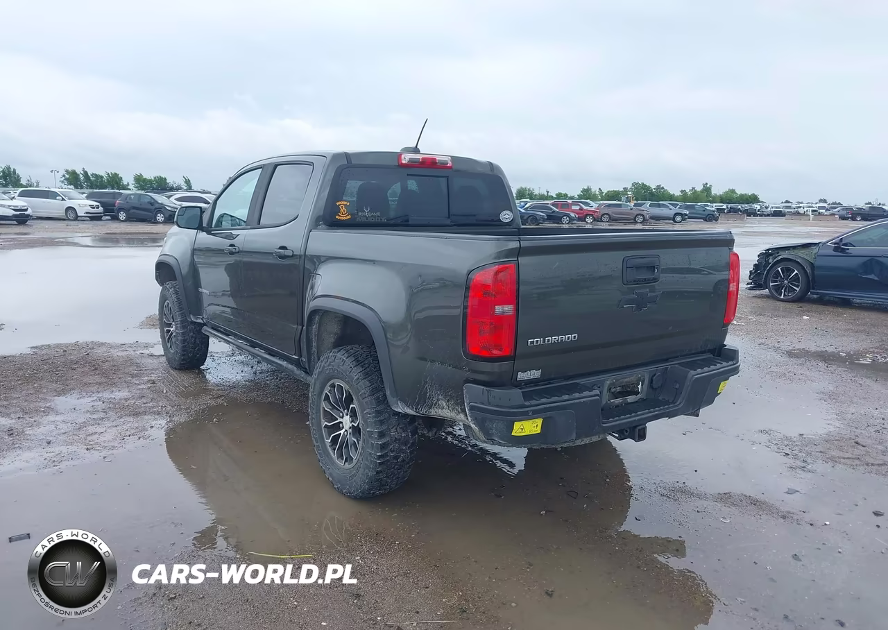 2018 Chevrolet Colorado Zr2 VIN:1GCPTEE10J1106173 - 3