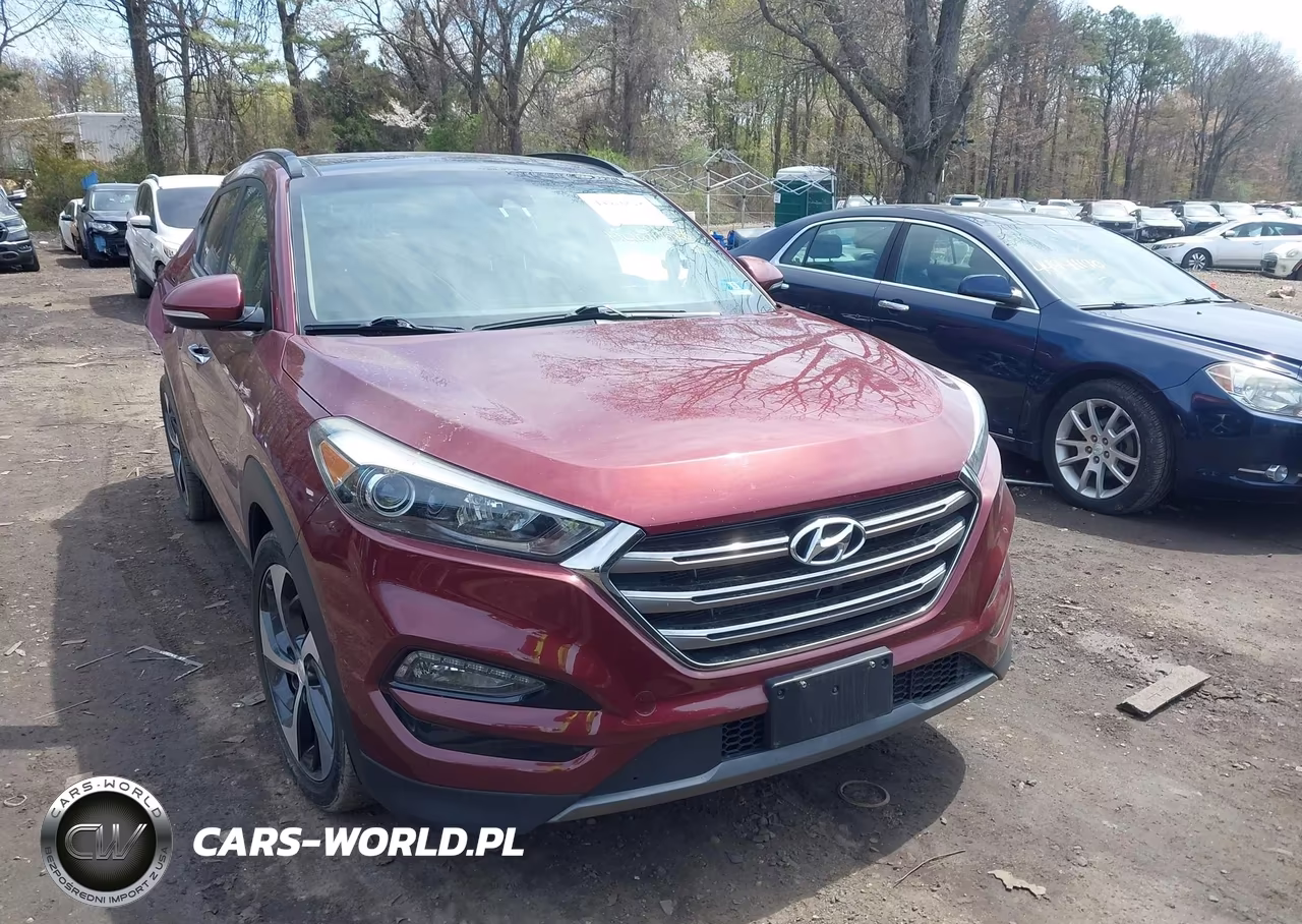 2016 Hyundai Tucson Limited VIN:KM8J3CA28GU129213 - 12