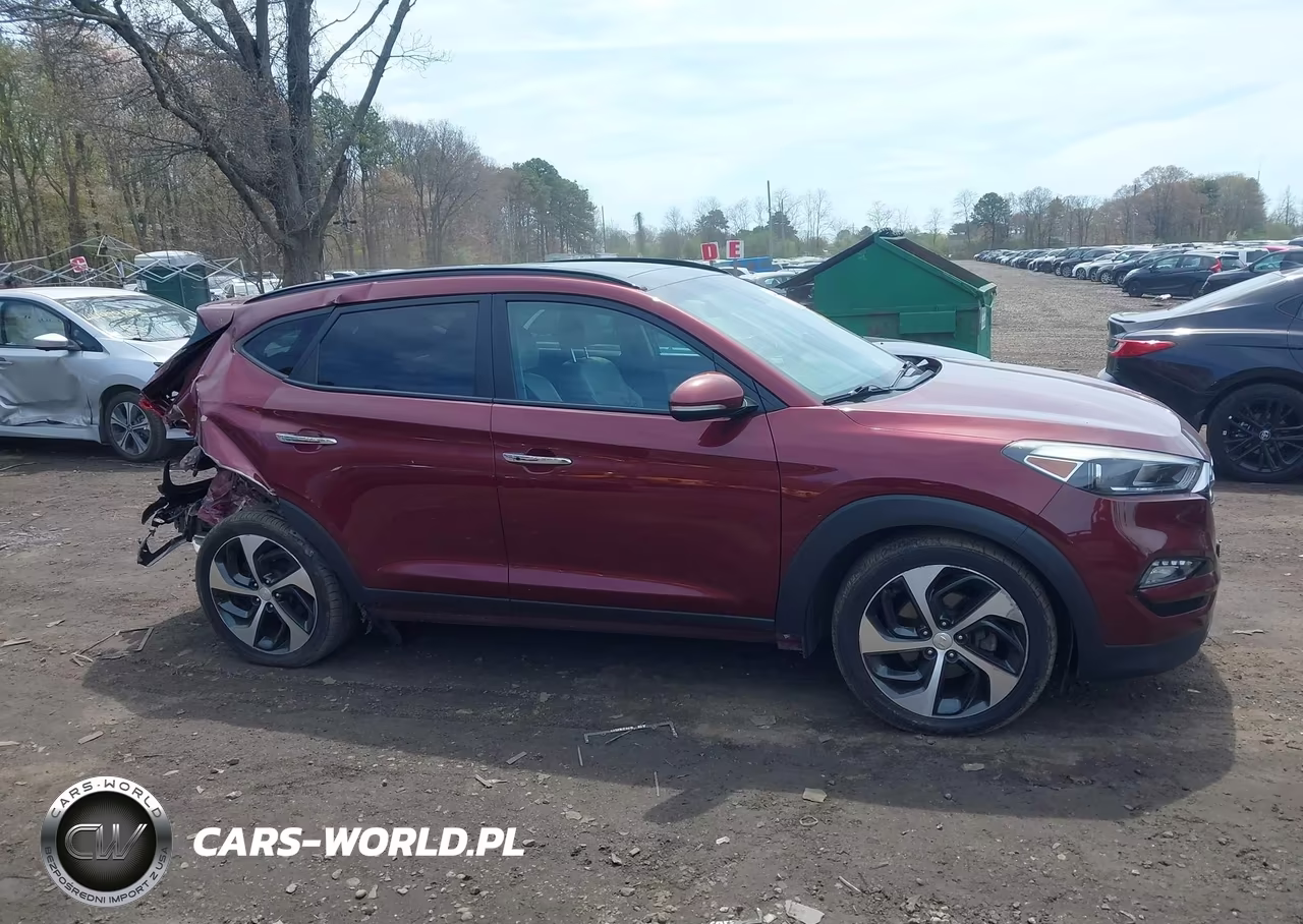 2016 Hyundai Tucson Limited VIN:KM8J3CA28GU129213 - 13