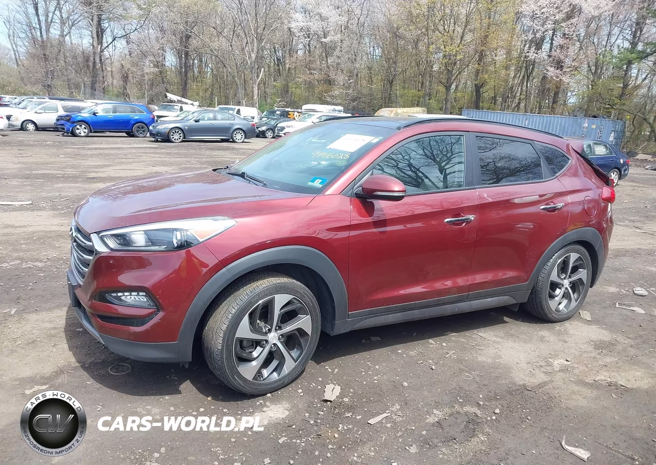 2016 Hyundai Tucson Limited VIN:KM8J3CA28GU129213 - 14