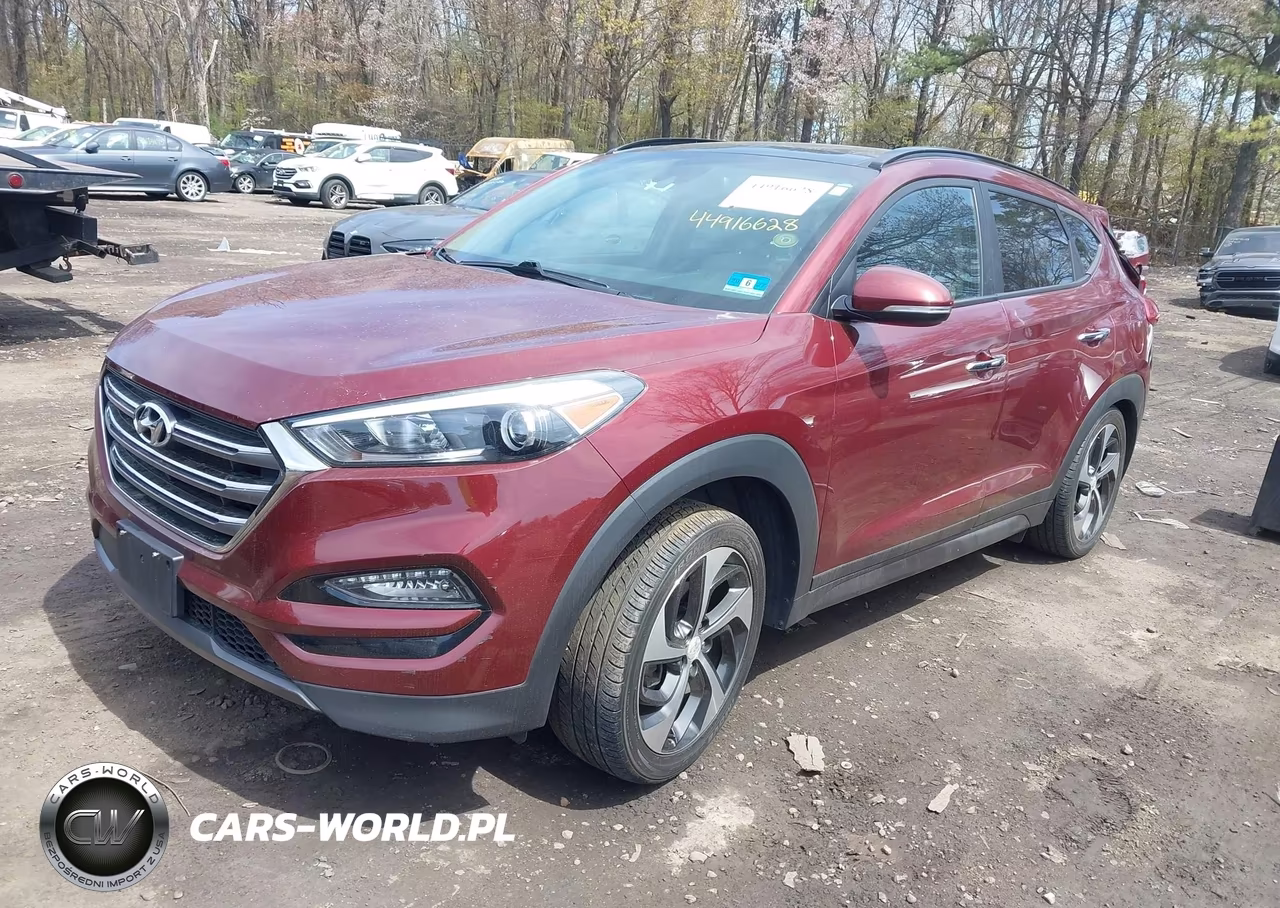 2016 Hyundai Tucson Limited VIN:KM8J3CA28GU129213 - 2