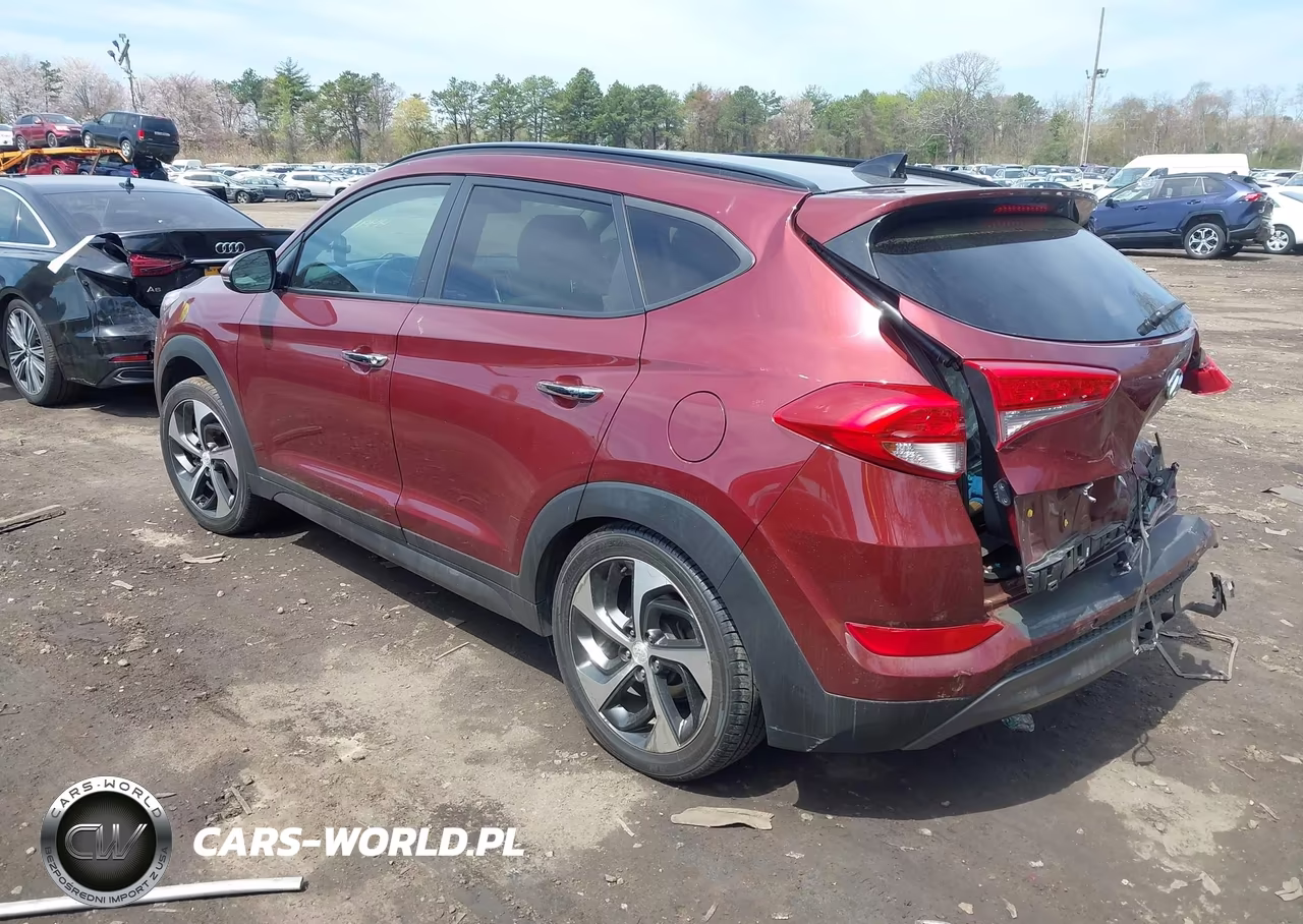 2016 Hyundai Tucson Limited VIN:KM8J3CA28GU129213 - 3