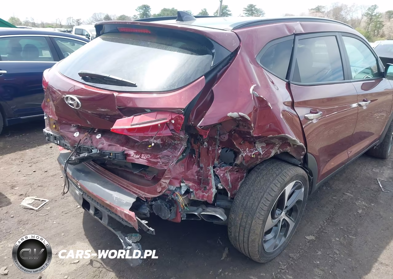 2016 Hyundai Tucson Limited VIN:KM8J3CA28GU129213 - 6