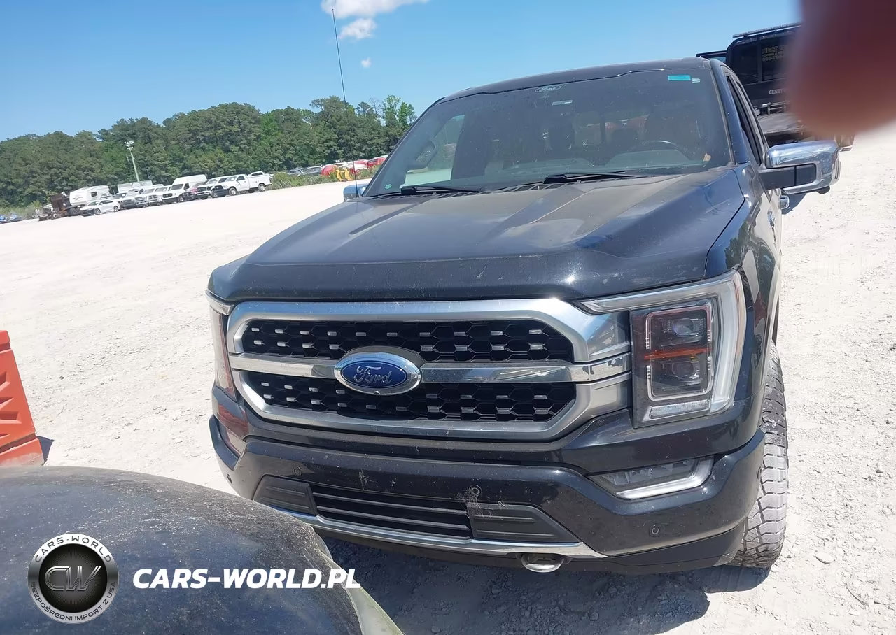 2021 Ford F-150 Platinum VIN:1FTFW1E55MFA98027 - 12