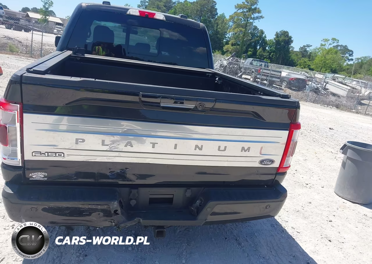 2021 Ford F-150 Platinum VIN:1FTFW1E55MFA98027 - 16