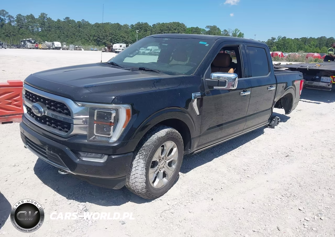 2021 Ford F-150 Platinum VIN:1FTFW1E55MFA98027 - 2
