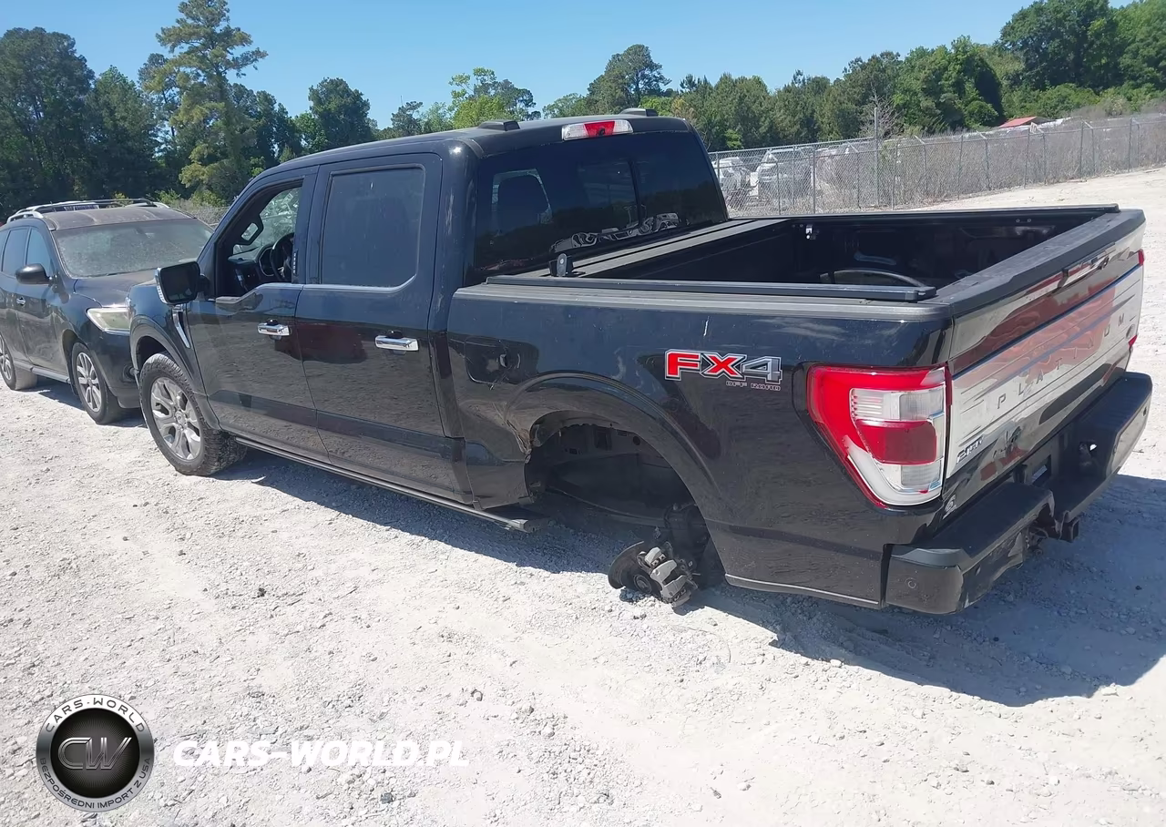 2021 Ford F-150 Platinum VIN:1FTFW1E55MFA98027 - 3