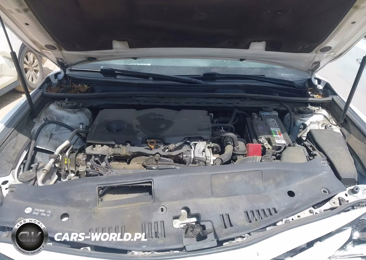 2019 Toyota Camry Le VIN:4T1B11HK3KU774512 - 10